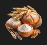 Gluten