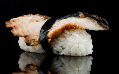 Unagi /pcs
